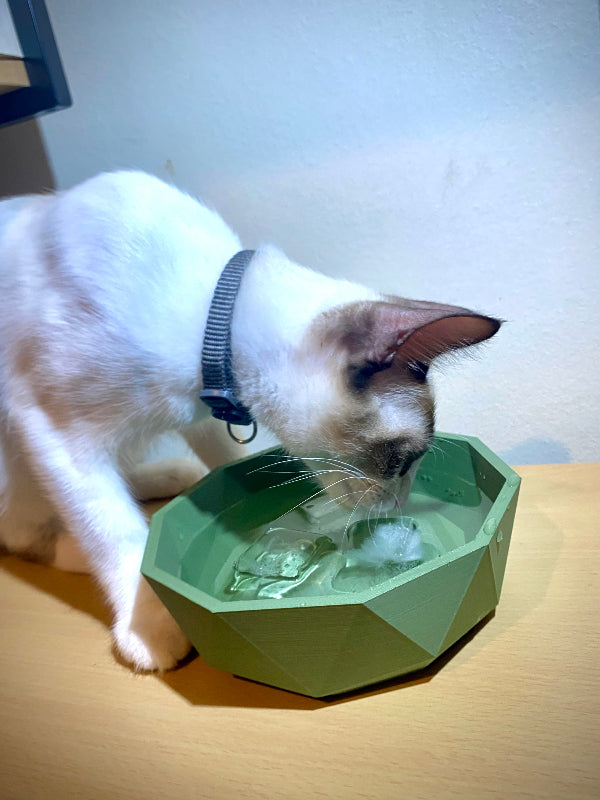 cumbuca geometrica para pet agua